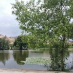 Fisherman's Retreat - RV Camping, Fishing Resort, RV Storage, & Restaurant