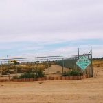 81 Palms RV Park Deming NM