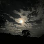 Southside Recreation Area Campground