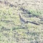 Santa Rosa Campground & RV Park