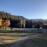 Ponderosa Campground