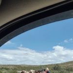 Hidden Valley Ranch RV Resort