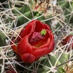 Moore's RV Park and Campground