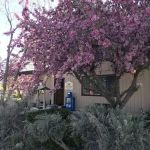 Taos Valley RV Park
