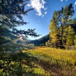 Agua Piedra Campground