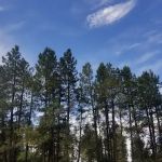 Bert Clancy Campground