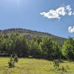 Cow Creek Campground