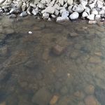 Sierra Bonita Cabins & RV Park