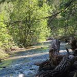 Cimarron Canyon State Park