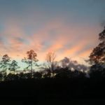 Whispering Pines RV Park and Campground