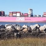 Host at Pelican Cove RV Park