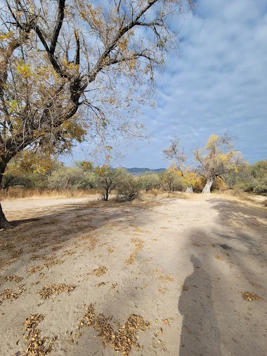 MacKenzie Campground #1 4