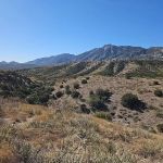 Miller Flats Campground #3