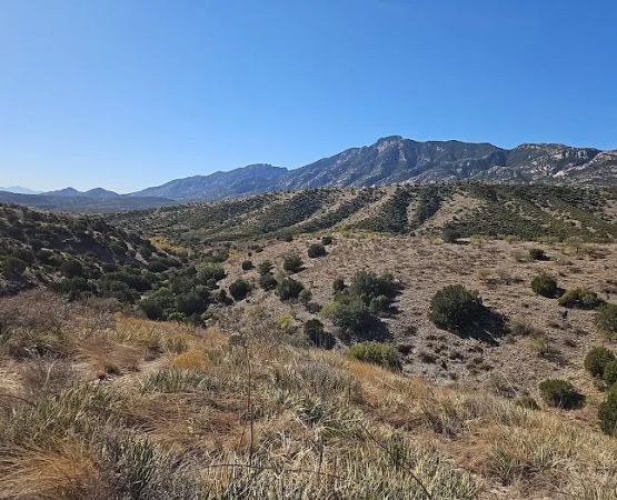 Miller Flats Campground #3