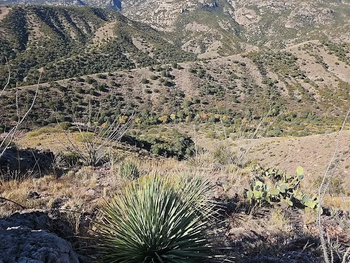Miller Flats Campground #3 2