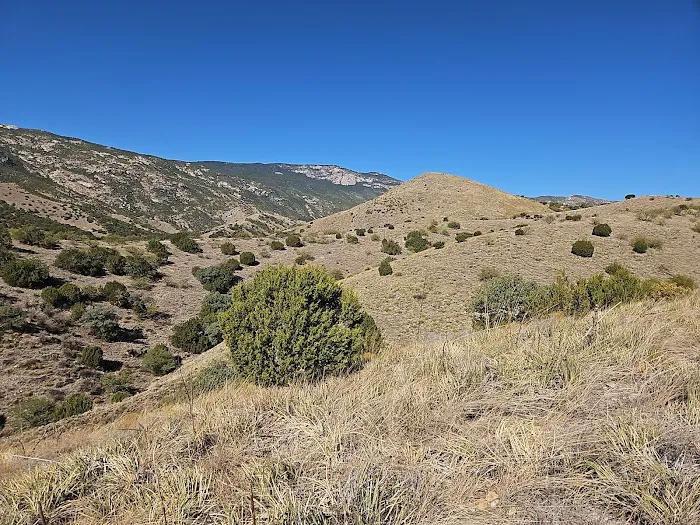 Miller Flats Campground #3 1