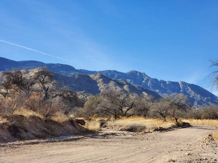 Miller Flats Campground #2 8