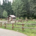 Black Bear Group Campground