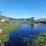 Astor Landing Campground