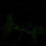 Catface Corner Campground (Florida Forest Service)