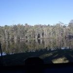 St Marks Powder Campground