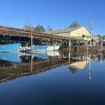 Shell Island Fish Camp