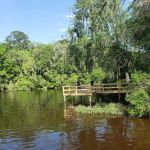 Hall Landing Campground