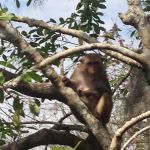 Camp Seminole Springs