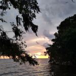 Lake George Barrs Hammock Campsite of St Johns River WMD