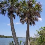 Riverwood Park Campground