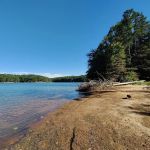 Bald Ridge Creek Campground