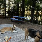 Victoria Campground at Lake Allatoona