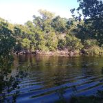 Flamingo Campground T Loop