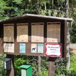 Clackamas Lake Campground