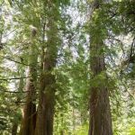 Lost Lake Resort & Campground