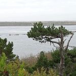 Harbor Vista County Campground & Park