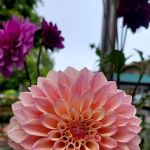 Hidden Creek RV Park