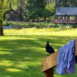 Metolius River Resort