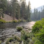 Pioneer Ford Campground