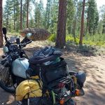 Walt Haring Sno-Park and Campground