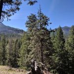 Sacandaga Campground