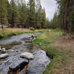 McKay Crossing Campground