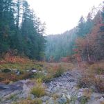 Boulder Creek Campground