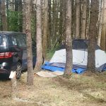 Carefree Farms Campground