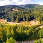 Albee Creek Campground