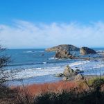 Harris Beach State Park Campground