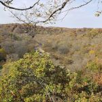 Big Paint Campground