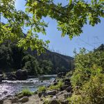 Store Gulch Campground