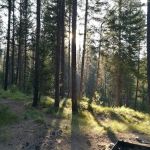 Cabin City Campground