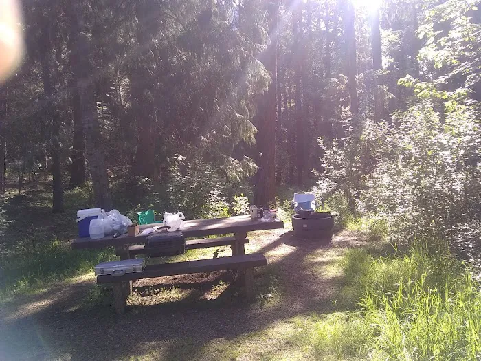 Big Eddy Campground 0